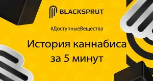 BlackSprut ссылка tor BlackSprut one com